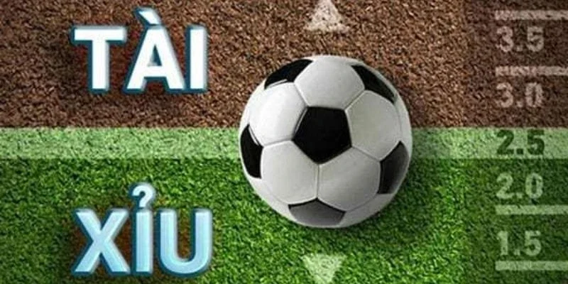 Chiến lược đánh hiệu quả